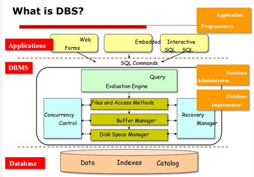 數據庫管理系統（DBMS）入門 基礎概念、目標與應用